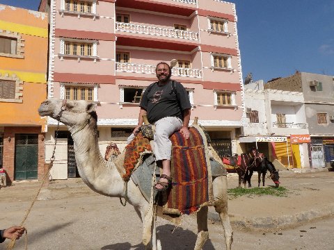 Awesome Bloke on Camel