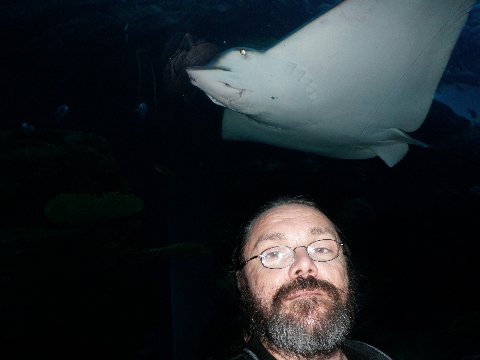 Awesome creature in Dubai Mall Aquarium