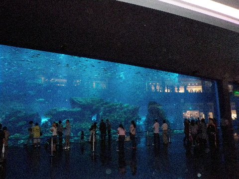 Dubai Mall Aquarium