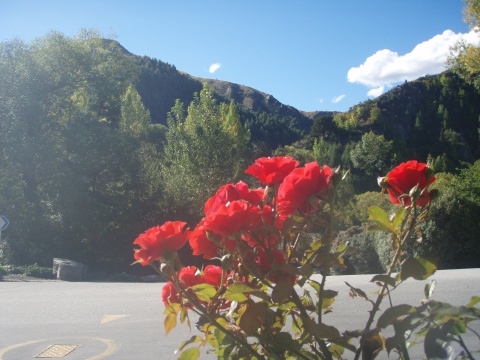 Arrowtown Backdrop