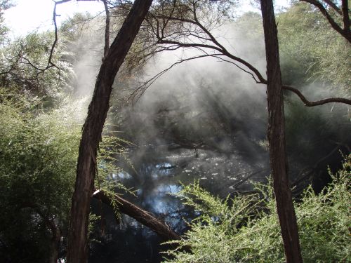 Mist over Hot Pool - Tokaanu